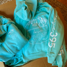 Youth Logo Zip Hoodie (charcoal and mint)