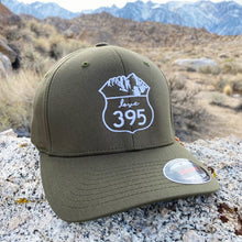 Embroidered Logo Flexfit Hat (Black, Charcoal, Navy and Olive)