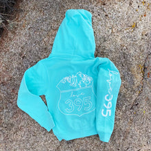 Youth Logo Zip Hoodie (charcoal and mint)